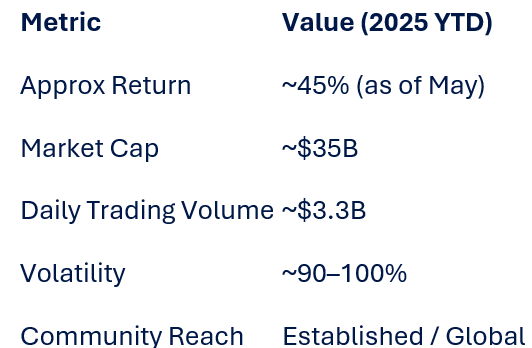 Table illustrating DOGE meme coin 2025 ROI and volatility.