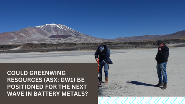 Greenwing Resources (ASX: GW1) Be Positioned for the Next Wave in Battery Metals?